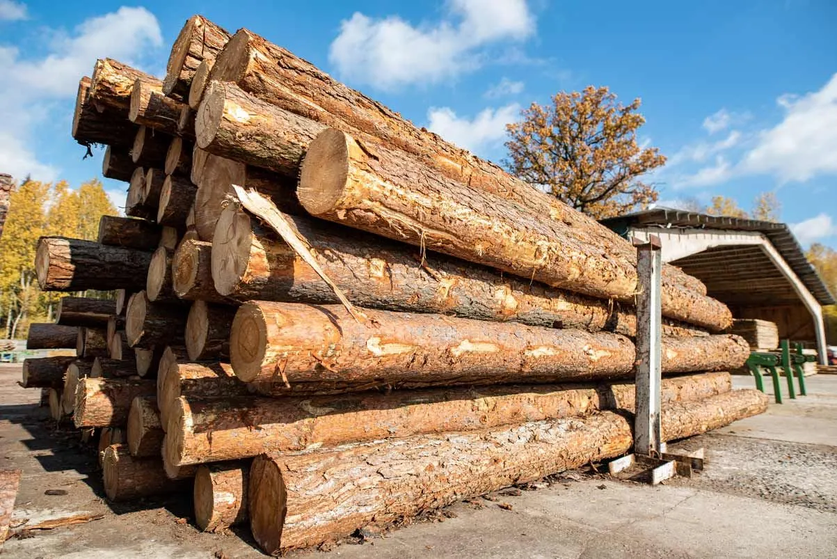 Cửa gỗ 4 cánh làm từ gỗ tự nhiên sẽ có độ bền cao hơn