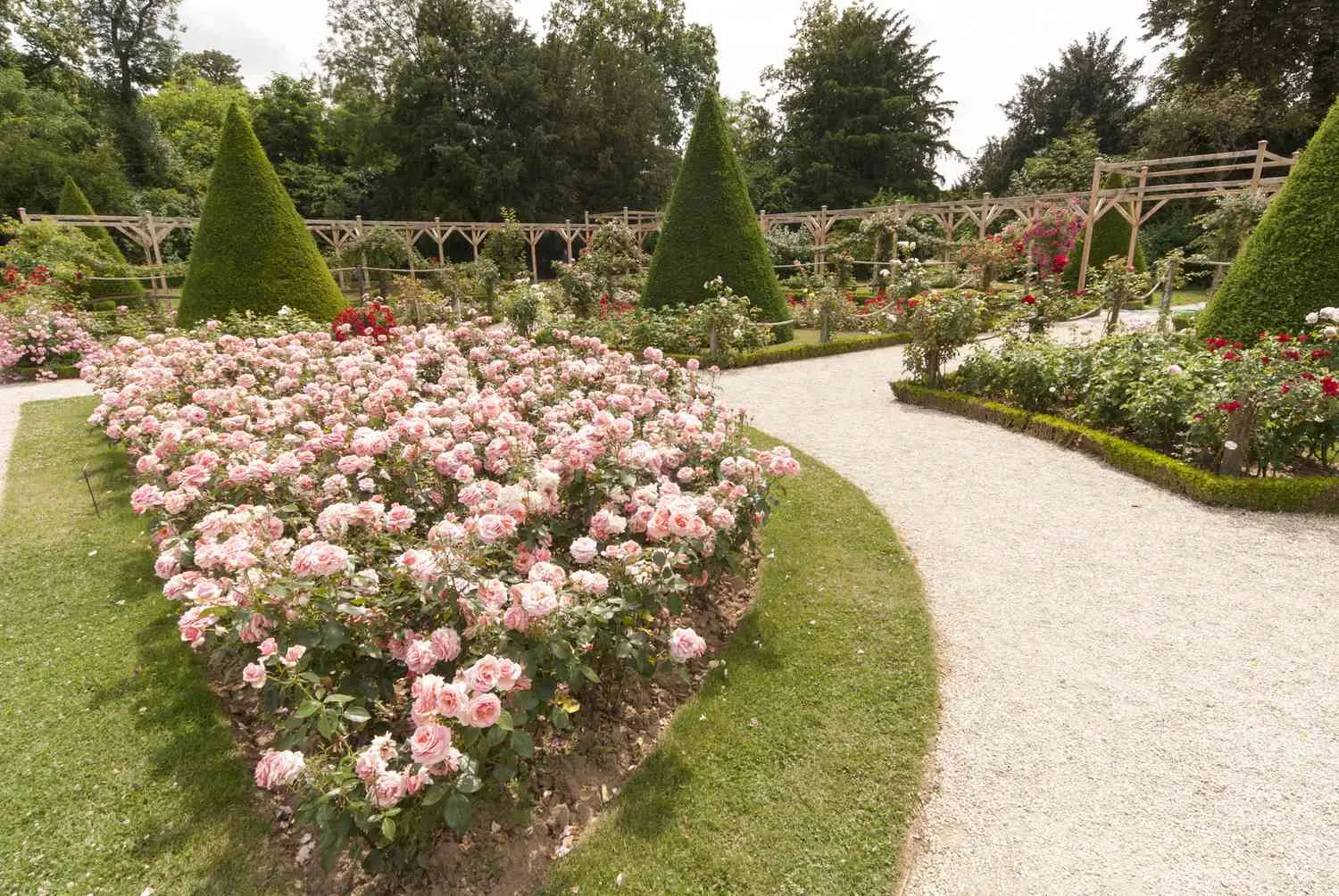 Sân vườn kiểu Pháp ngập trần sắc hoa
