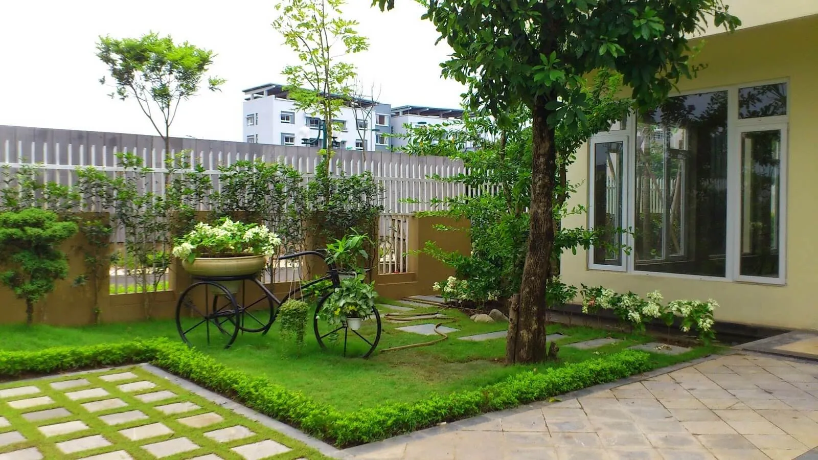 Sân vườn với các loại cây cảnh dễ chăm sóc