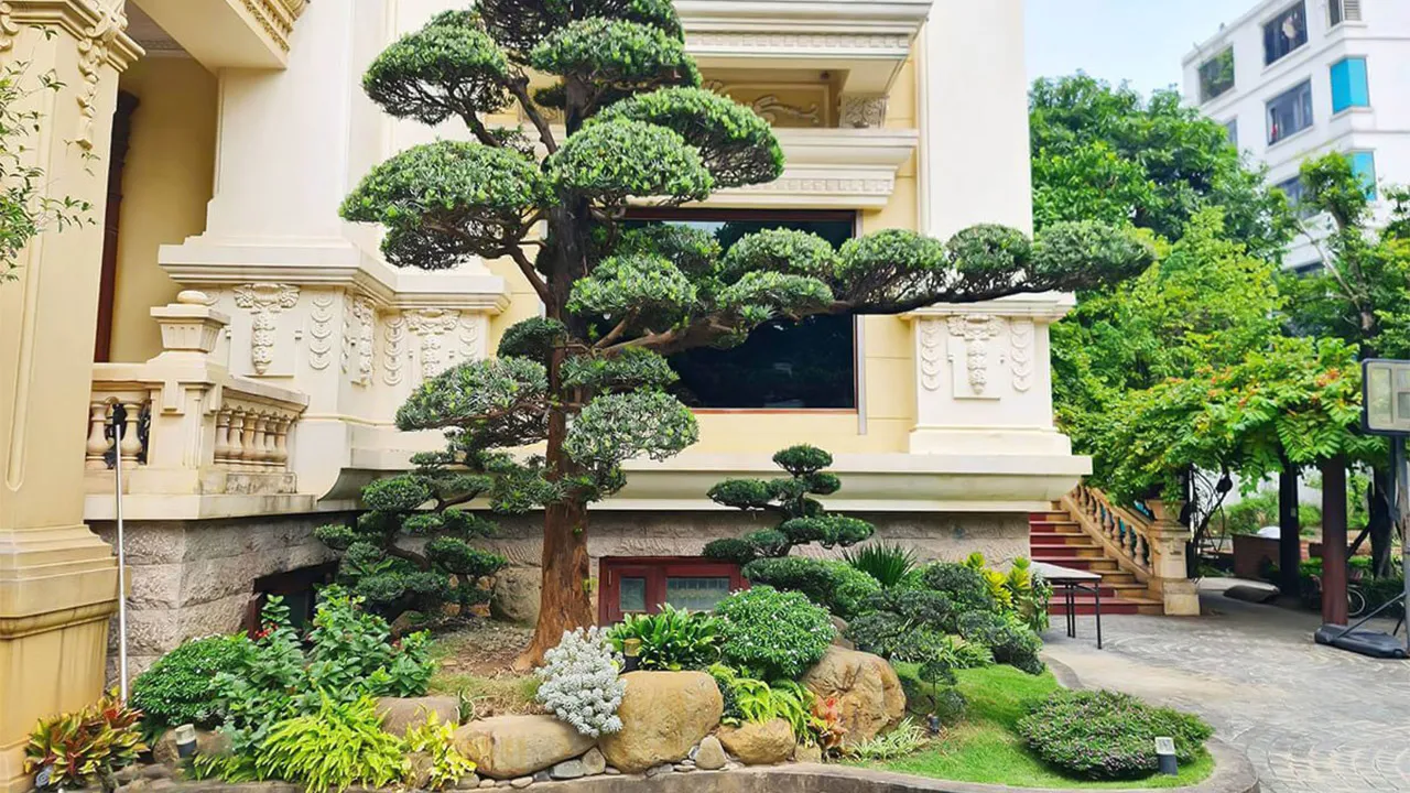 Thiết kế góc vườn hỏ trước nhà theo phong cách Trung Quốc