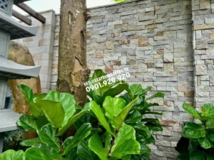 Kích Thước Đá Ốp Tường Chuẩn Nhất 2025 | Phố Đá Đẹp
