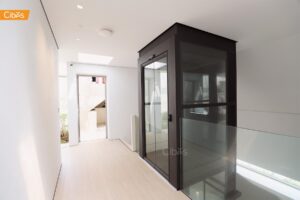 Thang máy trục vít có thể lắp đặt mà không cần phòng máy